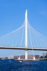 Obraz premium A modern cable-stayed bridge rises above deep blue water with small boats passing beneath, set against a clear sky and distant urban skyline. Saint Petersburg cityscape on a sunny day