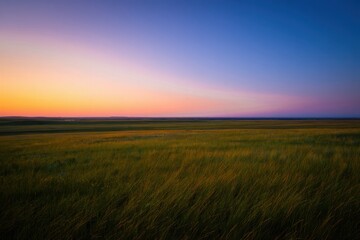 Fototapeta premium Vibrant Sunset Over a Grassy Prairie