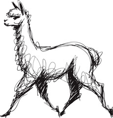 Fototapeta premium abstract sketch of a walking llama hand drawn animal outline, freeform ink drawing, expressive minimal