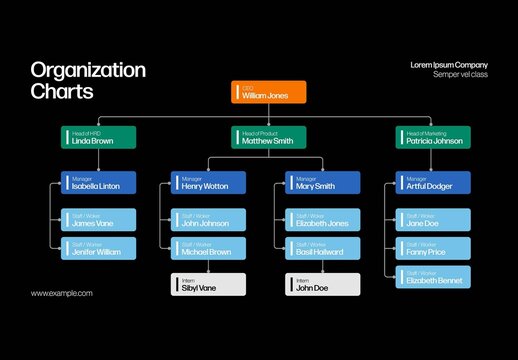 Organizational Org Chart Infographic Template
