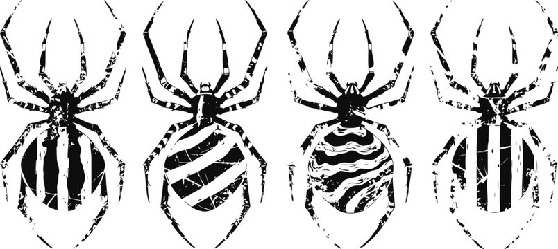 Illustrated four black and white spiders with unique striped and wavy abdomen patterns, vintage insect designs