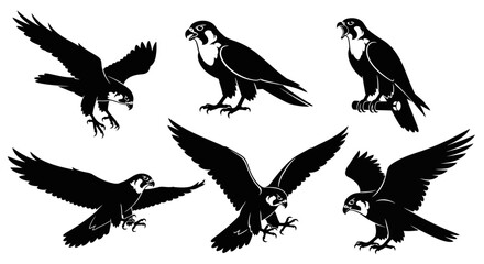 Obraz premium Set of Falcon Silhouettes in Flight and Perched, Dynamic Poses