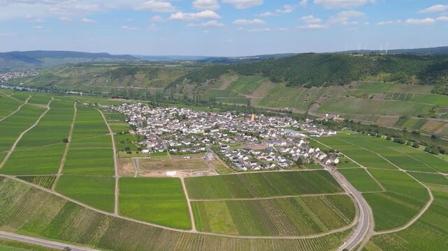 Trittenheim, Moselle Valley loop, Mosel river, aerial view, riesling wine growing on vine, vineyard landscape and agriculture in Germany