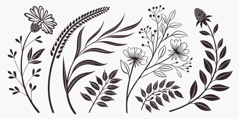 A detailed illustration of various plants and flowers in a symmetrical arrangement © Sp