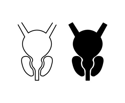 Prostate icon with editable stroke. Black solid icons