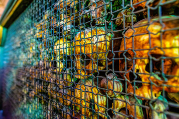Human skulls and bones in Ossuary of San Bernardino alle Ossa Church, Milan, Italy