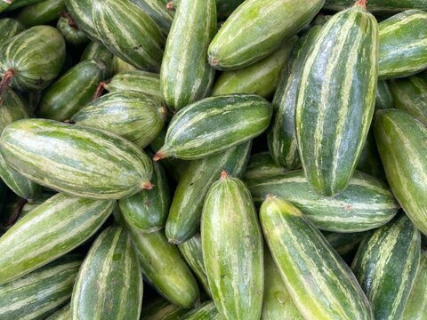 Fresh Raw Pointed Gourd or Parwal Vegetable Pile for Healthy Organic Food Background