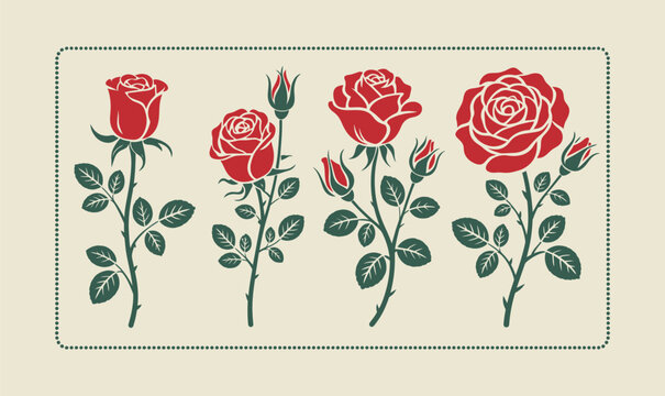Red Rose Flower Vector Collection with Vintage Botanical Blossom and Rosebud for Floral Design