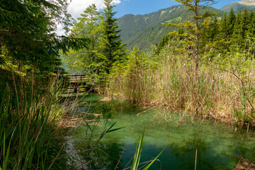 Obraz premium Wooden footpath along alpine forest and lake