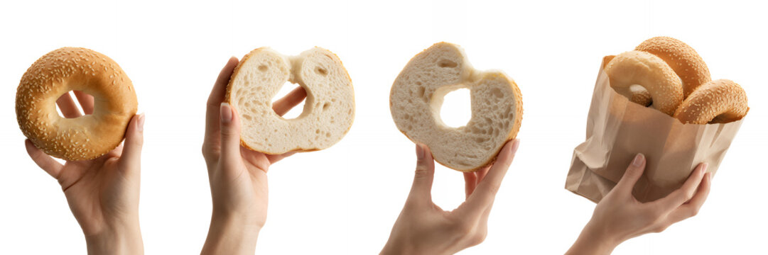 Hands holding different types of bagels baked bread breakfast