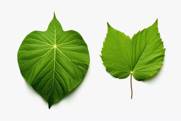 Obraz premium A black and white spiral design with black and white stripes. Suitable for various design projects