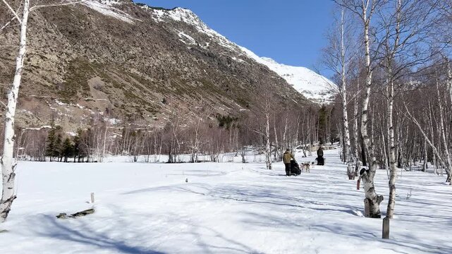 Dog sledding team mushing through a snowy forest in the Pyrenees