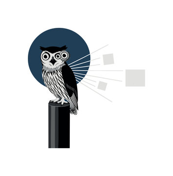 Black and white owl with wide eyes perched on a geometric cylinder, dark blue circular halo representing night vision, thin white lines and abstract blocks