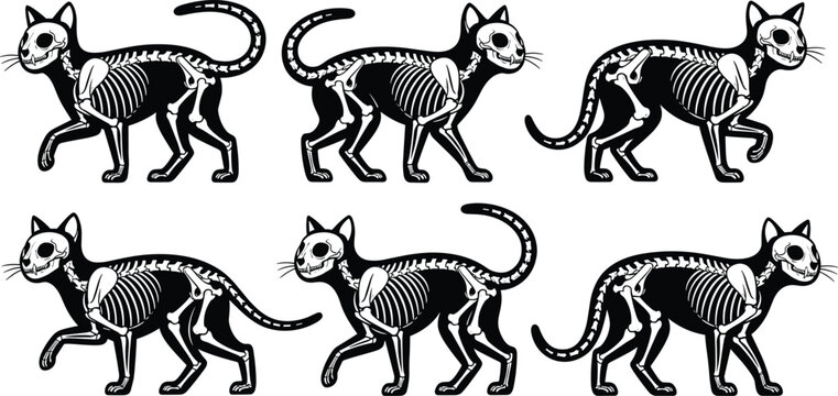 Cat skeleton silhouette illustrations, anatomical feline artwork, spooky Halloween design, black white figure set, decorative anatomy stylized collection