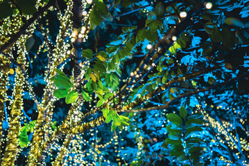 Obraz premium tropical tree with festive LED garland lights at night, branches wrapped in glowing holiday neon fairy lights background, creative design wallpaper, nature abstract decor