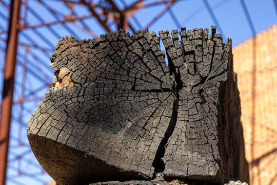 Weathered timber beam showing cracked wood pattern outdoor