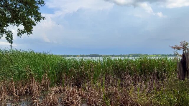 The lake at Trimble Park an Orange County Park in Mount Dora, Florida on a sunny day.