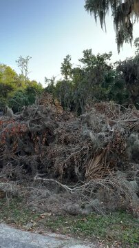 The hurricane damage debris along side the road at Trimble Park in Mount Dora, Florida
