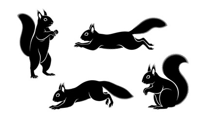 Obraz premium Four black silhouettes of squirrels in different poses on transparent background