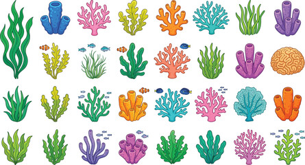 Underwater coral reef set with colorful seaweed and sea plants, cad drawing flat vector illustration. © VectoVerse