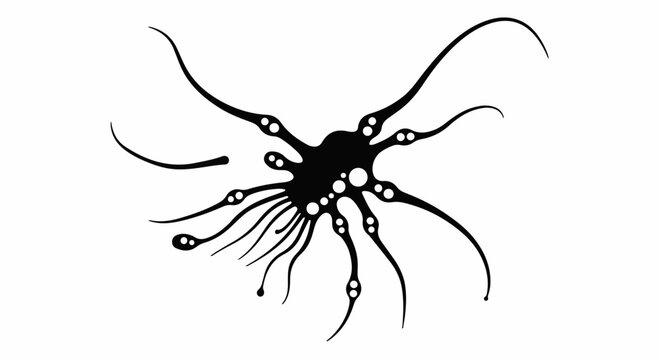 Abstract scientific illustration of a single cell with multiple tendrils and nuclei