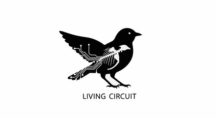 Obraz premium Innovative concept of a bird with internal electronic circuitry, symbolizing technology and nature fusion.
