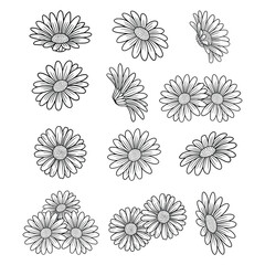 Fototapeta premium Daisy Flower Line Art Botanical Chamomile Floral Illustration Collection