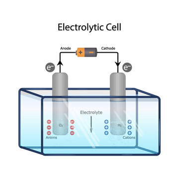 Electrolytic cell diagram with anode and cathode electrodes. Educational scientific infographics of an electrolytic cell with electrolysis process with anode and cathode electrodes. Vector