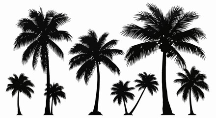 Obraz premium Set of black palm tree silhouettes isolated on white background, including various coconut trees with detailed fronds and trunks for tropical landscape design and summer themes.