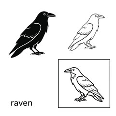 Fototapeta premium Raven bird vector collection with silhouette outline and framed line art drawing components