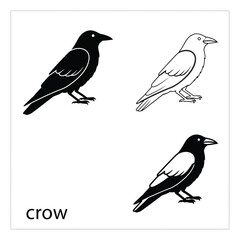 Fototapeta premium Crow bird graphics including solid black silhouette outline and detailed black color vector