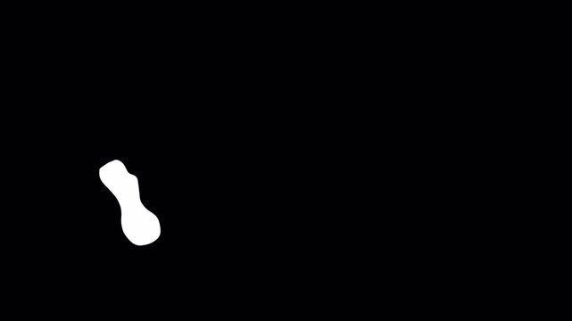 2d background animation wave transition. Video clip with alpha channel.