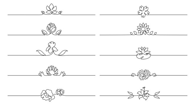 Floral borders separators with one line divider frame for ornament flourish lotus. Rose lily iris with peony hydrangea tulip for flowers horizontal border. Flourishes dividers floral.