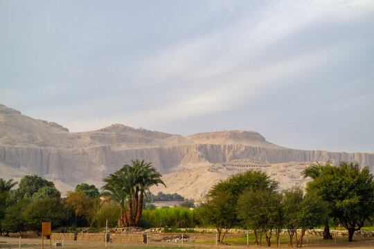 Arid desert mountains with palm trees and green oasis vegetation in foreground under soft cloudy sky. Natural landscape in Egypt with warm tones and peaceful atmosphere.