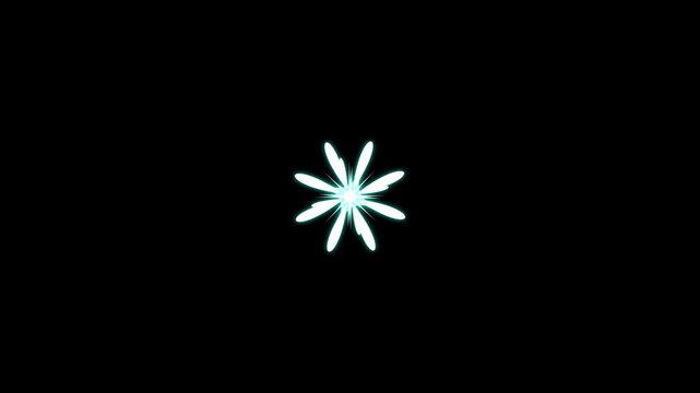 Shining White Star Glitter Animation with  black Screen background. Twinkle star glitter sparkle, 4k star sparkle vector doodles, glowing light effect, retro shine movement, 4k animation
