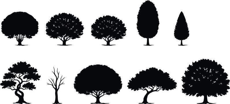 Collection of detailed tree silhouettes including round pine and leafless trees isolated on white background for forest landscape nature vector illustration