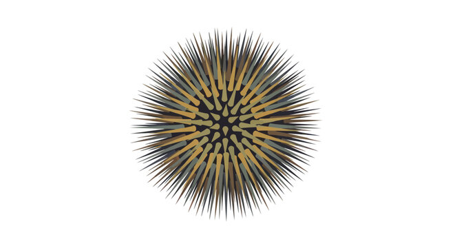 Close up of sea urchin spines.