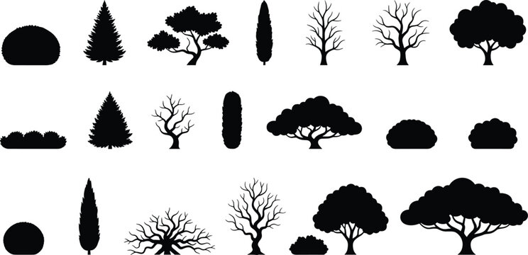 Large collection of tree and bush silhouettes including pine cypress leafless and round trees isolated on white background for landscape nature vector set