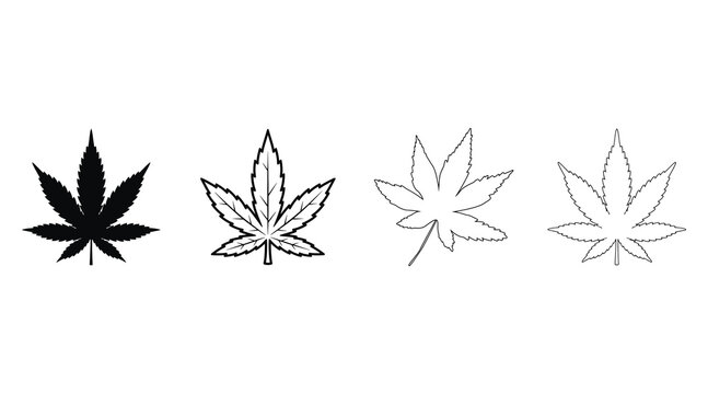 Four different cannabis leaf illustrations in various styles and shading