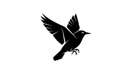 Fototapeta premium Silhouette of a flying bird with spread wings on white background