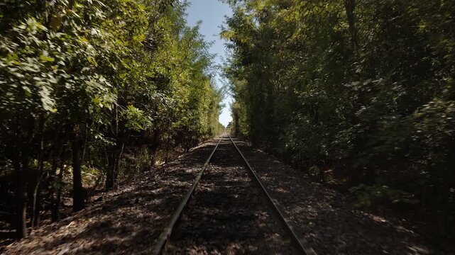 Tracking Shot Along Narrow Railway Tracks Through Forest
