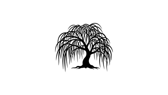 Silhouette of a weeping willow tree with graceful, drooping branches