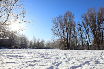 Obraz premium Snowy and nice winterday. Field or meadow covered in snow. Tree in the background. Sunny day. Järfälla, Stockholm, Sweden.