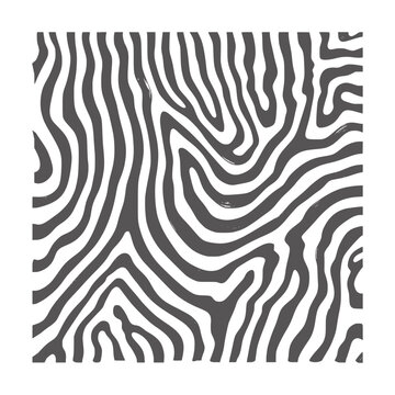 Black and white abstract zebra stripe pattern texture