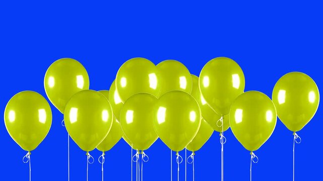 A vibrant 3D animation featuring a wall of shiny yellow helium balloons bobbing gently. Isolated against a solid blue screen backdrop, this festive asset is perfect for birthday parties, celebrations,