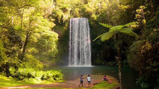 Majestic Millaa Millaa Falls Cascade in Tropical Rainforest, Atherton Tablelands, Queensland, Australia - Scenic Nature Stock Video