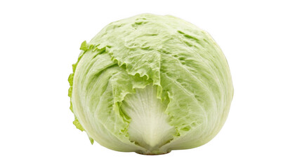 Fototapeta premium A vibrant and crisp whole head of fresh light green iceberg lettuce leaves captured in a clean studio setting against a stark black background