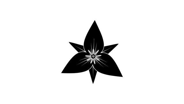 Elegant trillium flower silhouette on white background