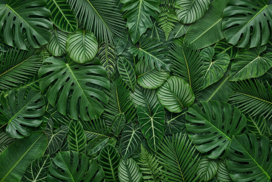 Seamless tropical green leaves pattern with venation details