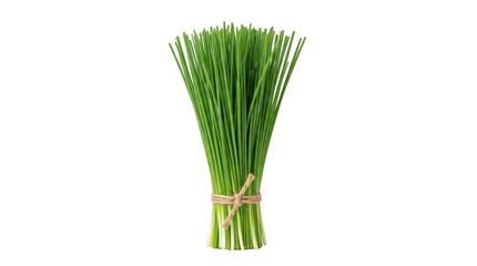 Obraz premium A neat bundle of vibrant green fresh chives tied with natural rustic twine isolated on a clean black background in a studio setting with bright lighti